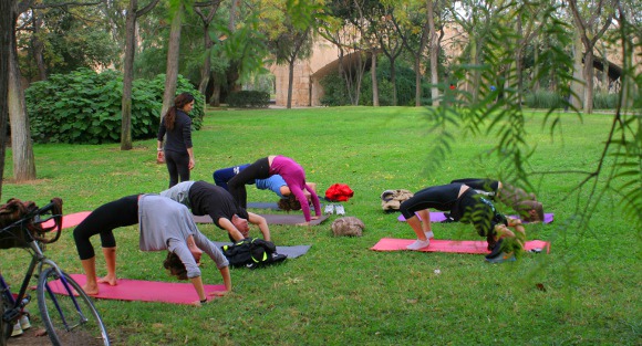 yogasadhana