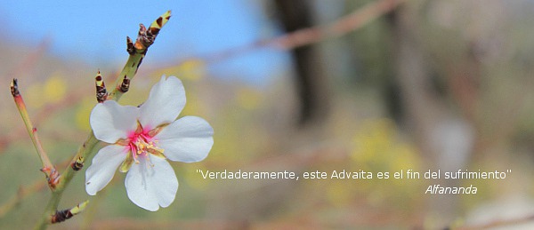 advaita001