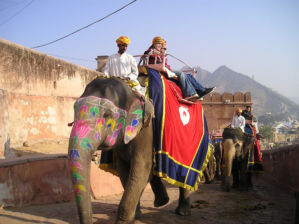 india Viaje a la India. Viaje al interior.