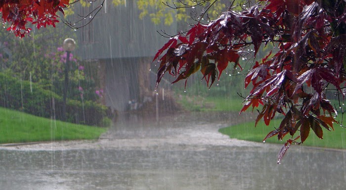 lluvia Encuentros de Yoga Domingo 4 de Marzo, ¿Que hacer si llueve?