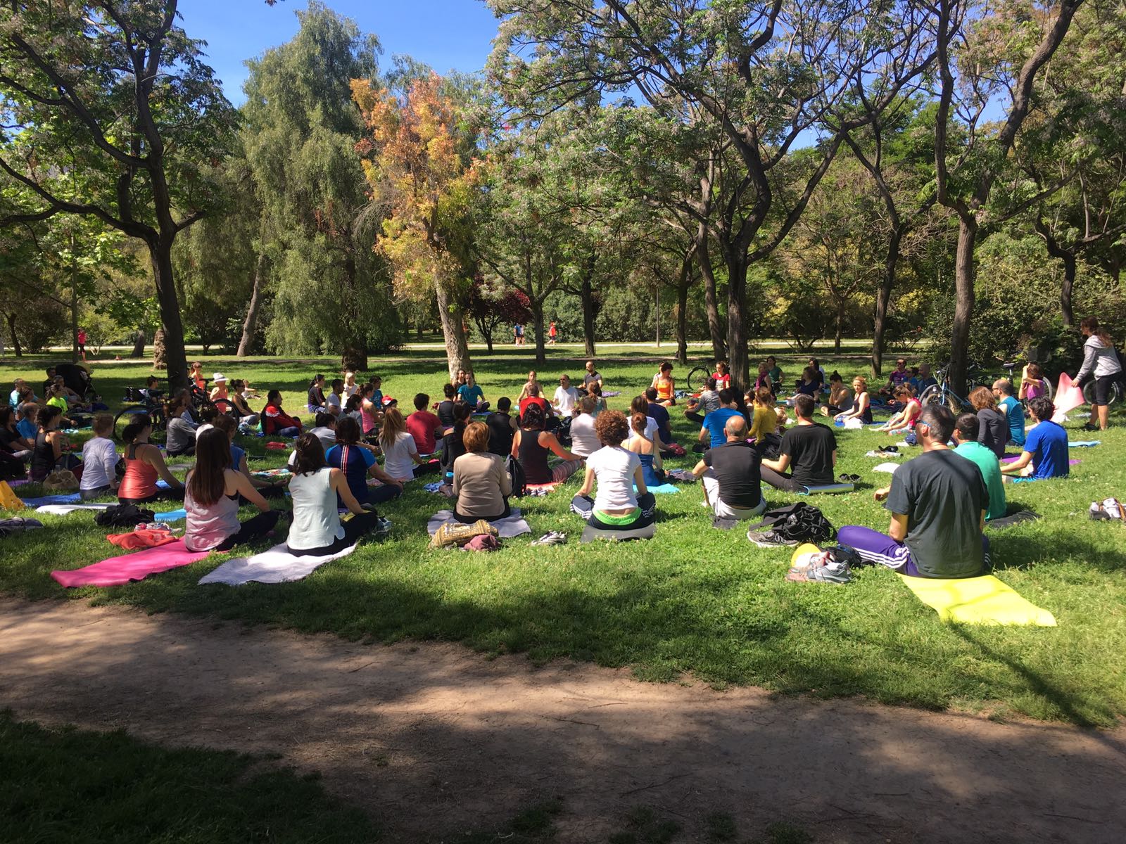 Yogavalencia Domingo 2 de Febrero: Encuentros de Yoga de Valencia Consciente