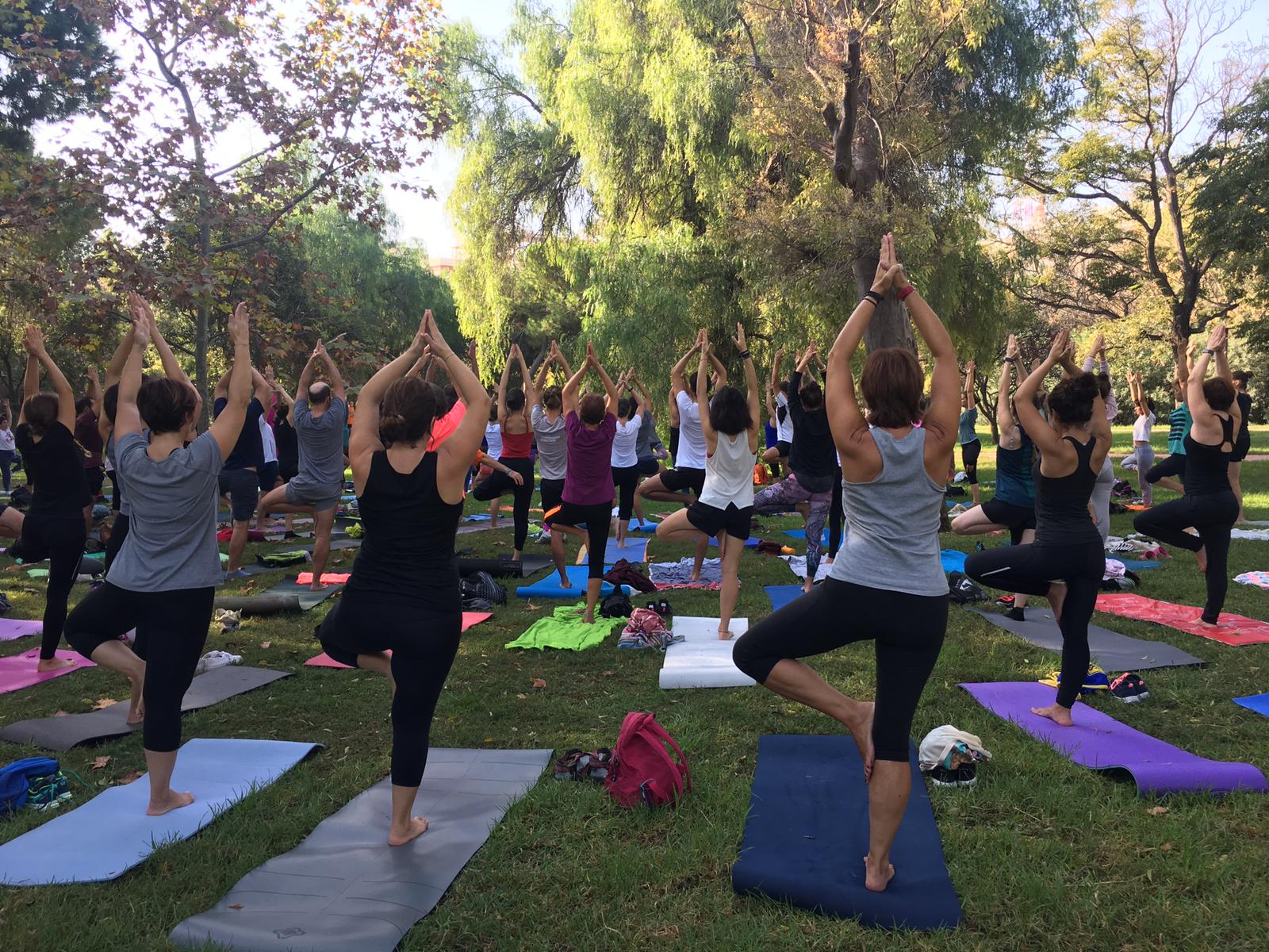 %name Domingo 1 de Marzo: Encuentros de Yoga de Valencia Consciente