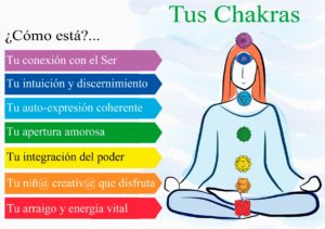 Tus Chakras Nityananda 300x211 Domingo 16 de abril de 2023